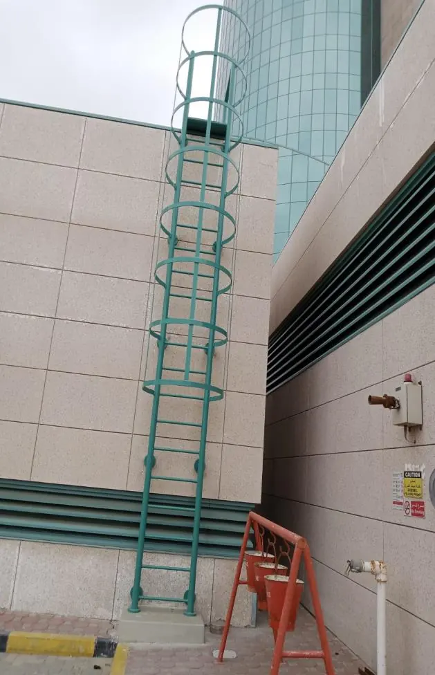 Ladder Projects by Mikras Contracting